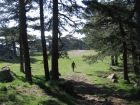 Corsica-Bavella_Falesie_20080628_007.JPG