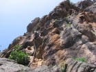 Corsica-Bavella_Lunarda_20080626_051.JPG