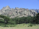 Corsica-Bavella Paliri 27giu08 - Colle di Bavella