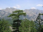 Corsica-Bavella_Paliri_20080627_030.JPG
