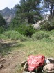 Corsica-Bavella_Paliri_20080627_099.JPG