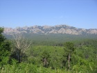 Corsica-Bavella_Paliri_20080627_109.JPG