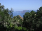 Corsica-Calanches_CapoOrtu_20080624_026.JPG