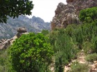 Corsica-Calanches_CapoOrtu_20080624_080.JPG