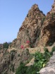 Corsica-Calanches_CapoOrtu_20080624_092.JPG