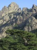 Corsica-ColleBavella_20080626_001.JPG