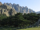 Corsica-ColleBavella_20080626_012.JPG