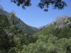 Corsica-Restonica_Falesia_20080622_058.JPG