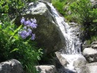 Corsica-Restonica_LagoMelo-Cap_20080622_025.JPG
