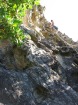 Corsica-Restonica_PZurmulu_20080623_006.JPG