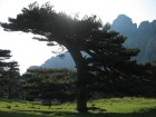 corsica_363.JPG