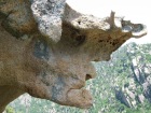 corsica_398.JPG